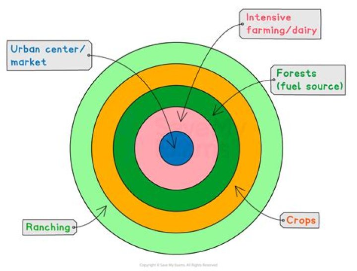 Ashley Riggitano’s Jewelry Line With Victoria Van Thunen — Designer’s Suicide – Hollywood Life